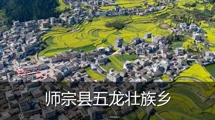 师宗县五龙壮族乡